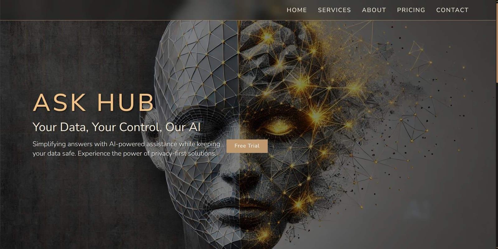 Ask Hub project preview